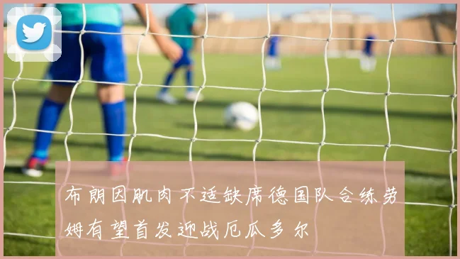 布朗因肌肉不适缺席德国队合练劳姆有望首发迎战厄瓜多尔